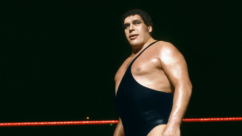 Who was Andre the Giant?