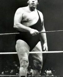 Who was Andre the Giant?