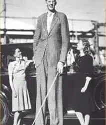 Who are the tallest men of all time?