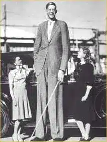 Who are the tallest men of all time?